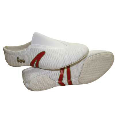 IWA 509 Artistic Gymnastic Shoes (Ultra Light Mesh) (4385485946946)